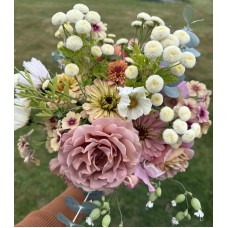 Feverfew Vegmo Snowball - Seeds